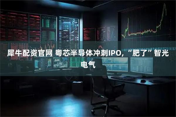 犀牛配资官网 粤芯半导体冲刺IPO, “肥了”智光电气