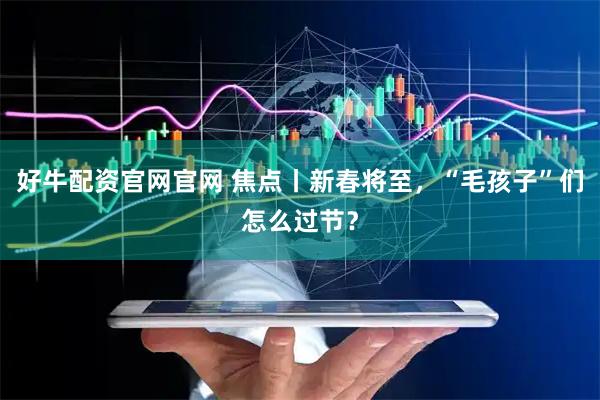 好牛配资官网官网 焦点丨新春将至，“毛孩子”们怎么过节？