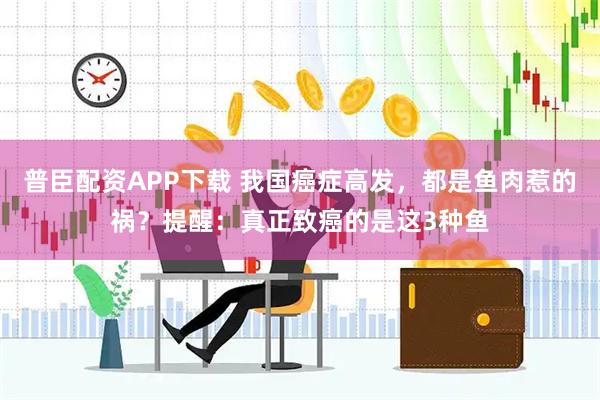 普臣配资APP下载 我国癌症高发，都是鱼肉惹的祸？提醒：真正致癌的是这3种鱼