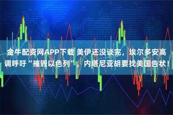 金牛配资网APP下载 美伊还没谈完，埃尔多安高调呼吁“摧毁以色列”，内塔尼亚胡要找美国告状！