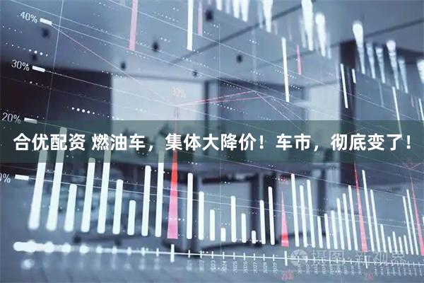 合优配资 燃油车，集体大降价！车市，彻底变了！
